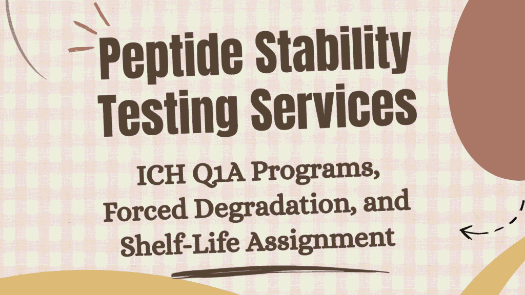 Peptide Stability Testing Services