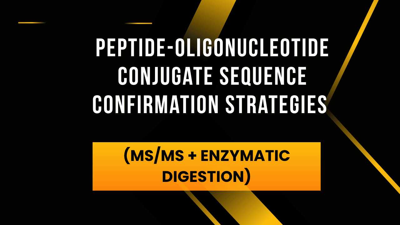 Peptide-Oligonucleotide Conjugate Sequence Confirmation Strategies