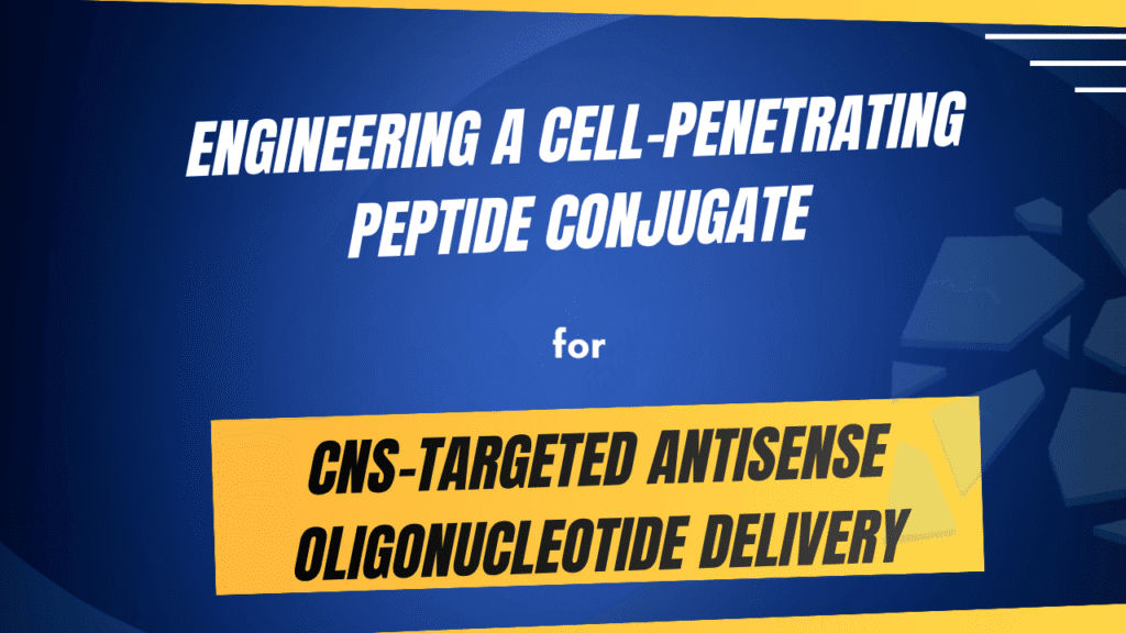 Engineering a Cell-Penetrating Peptide Conjugate