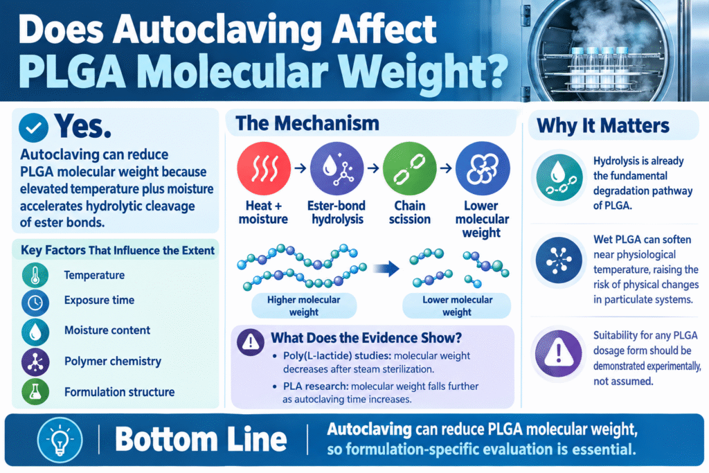 Does Autoclaving Affect PLGA Molecular Weight? Does Autoclaving Affect PLGA Molecular Weight?