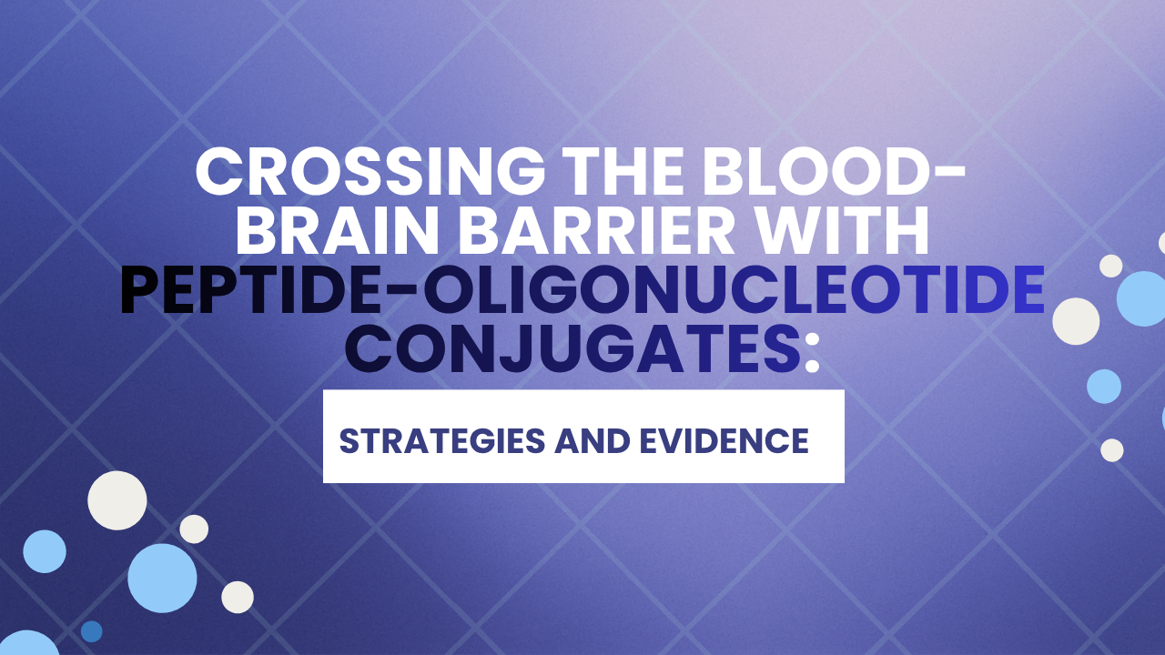 Crossing the Blood-Brain Barrier with Peptide-Oligonucleotide Conjugates: Strategies and Evidence