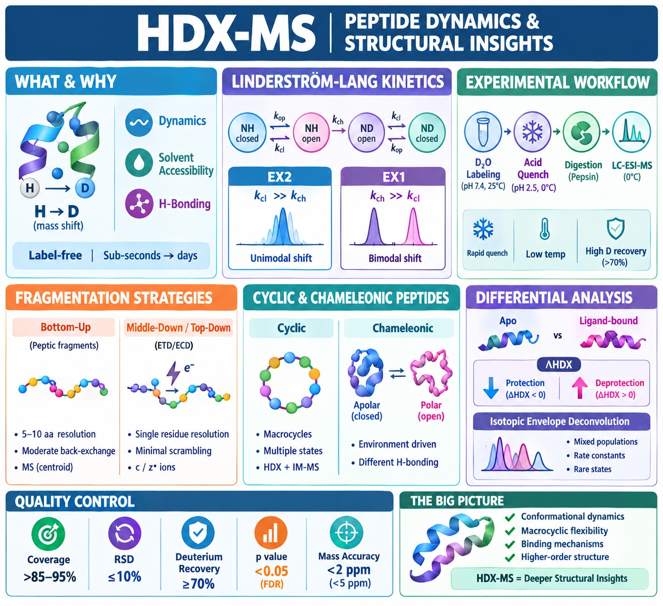 Hydrogen-Deuterium Exchange Mass Spectrometry (HDX-MS)