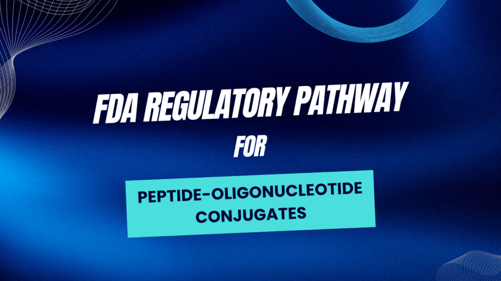 What FDA Regulatory Pathway Applies to Peptide-Oligonucleotide Conjugate Therapeutics?