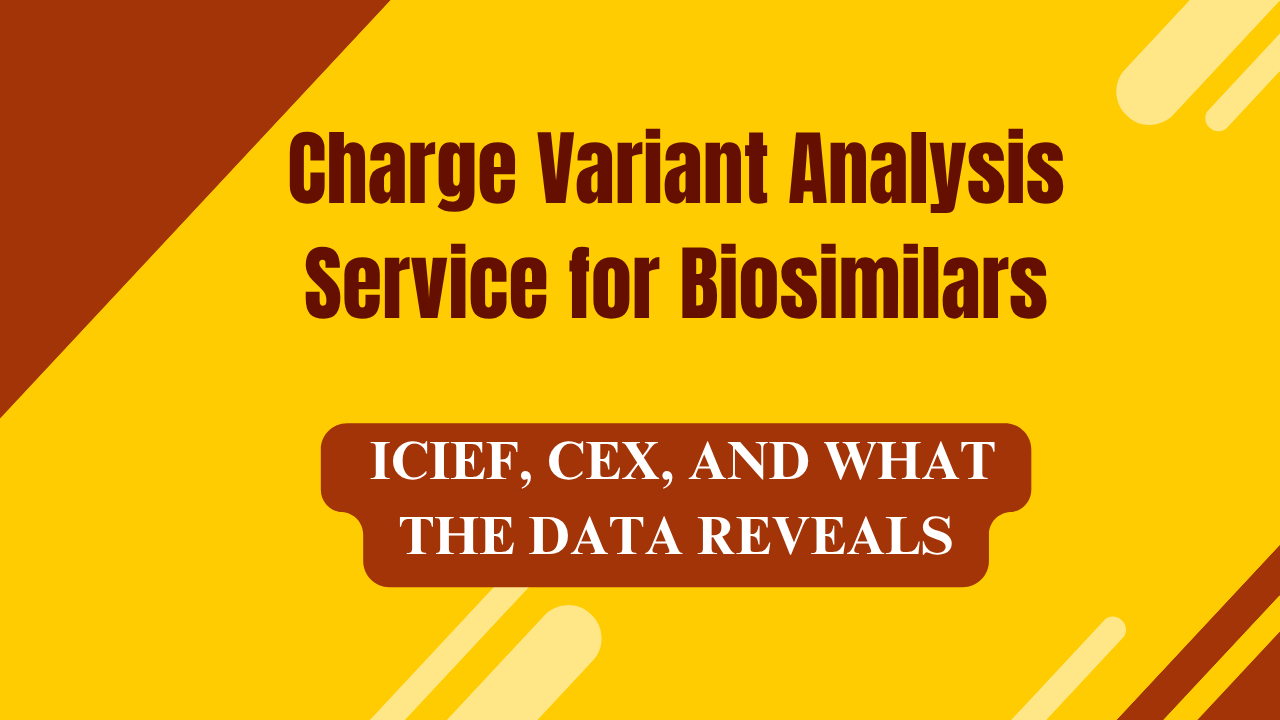 Charge Variant Analysis Service for Biosimilars