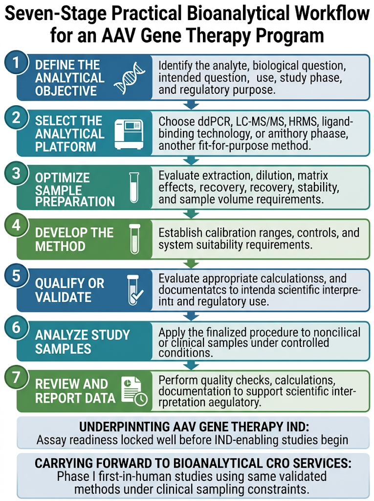 What Does a Practical Bioanalytical Workflow Look Like for an AAV Program?