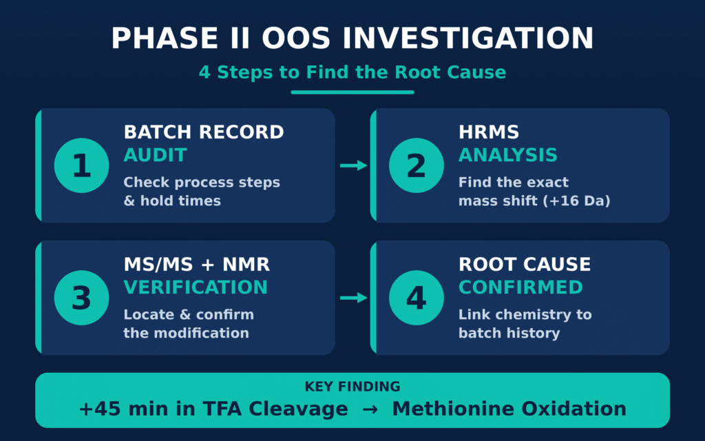 Phase II Full-Scale Cross-Functional Investigation and Structural Characterization