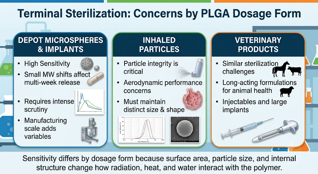 Do the Same Concerns Apply to Different PLGA Dosage Forms?
