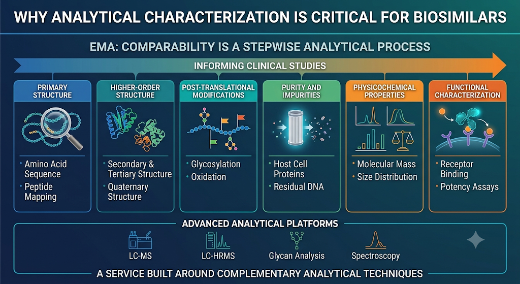 Why Analytical Characterization Is Critical for Biosimilars