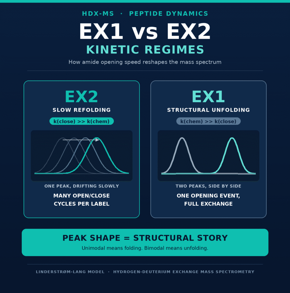 EX1 vs EX2 Kinetic Regimes