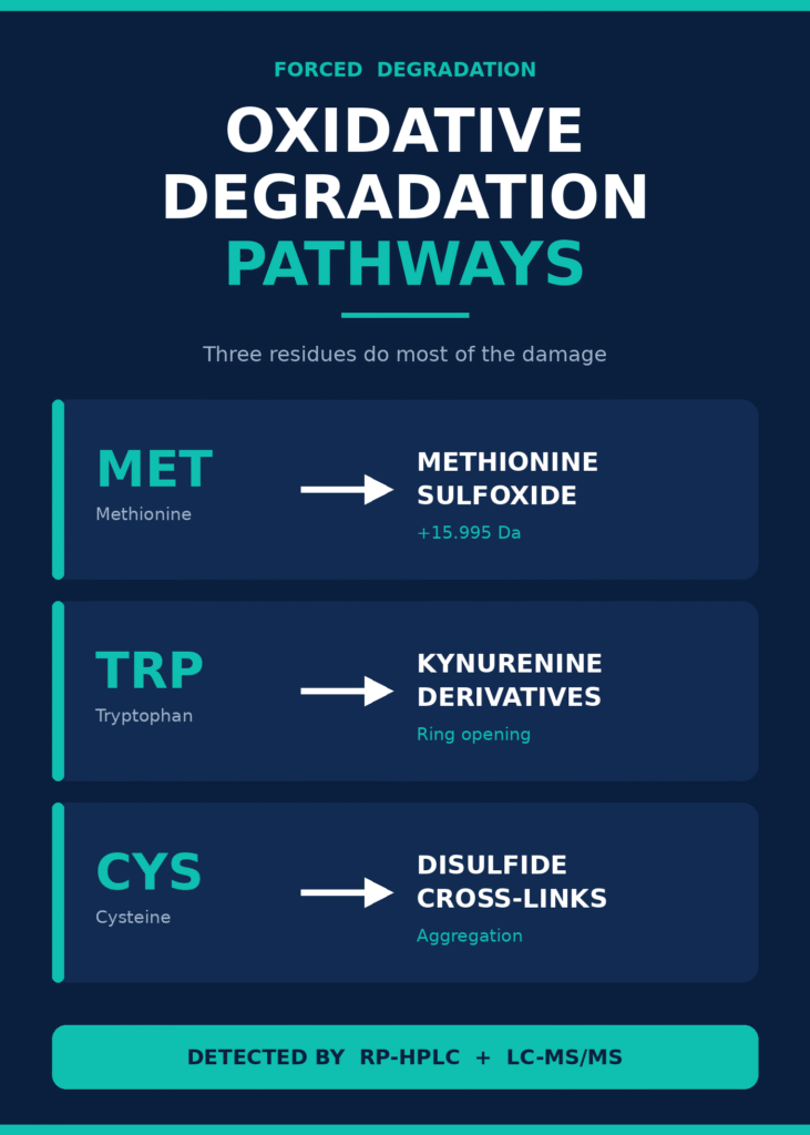 Oxidative Degradation Pathways