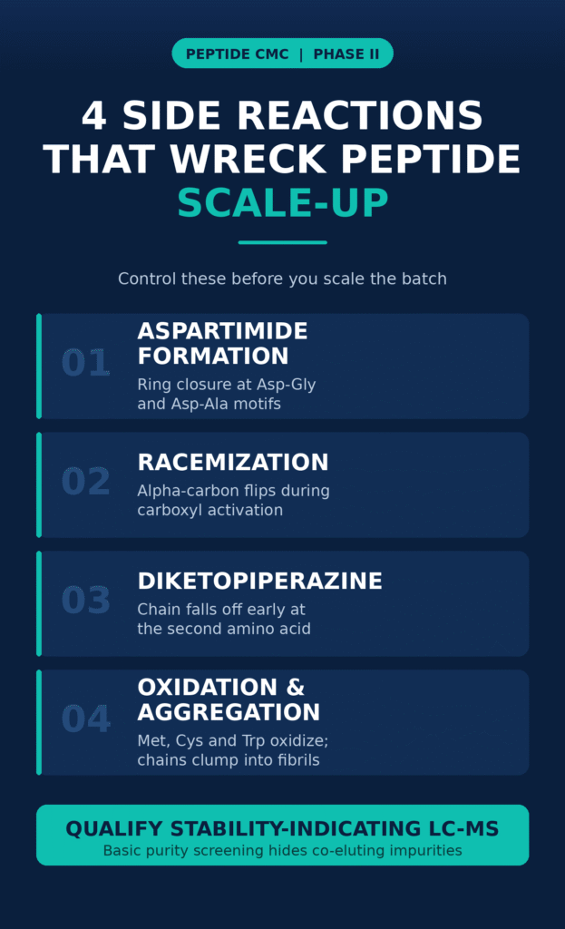Phase II Process Optimization and Scale-Up