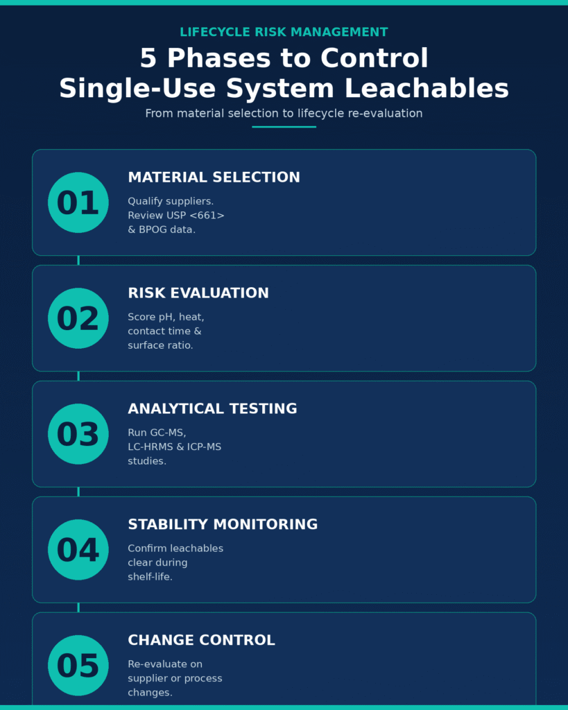 Lifecycle Risk Management