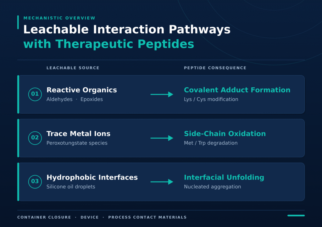Physico-Chemical Vulnerabilities of Peptide Injectables to Chemical Migrants