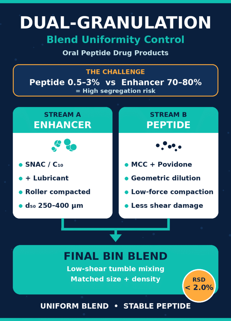 Dual-Granulation Architecture and Blend Uniformity Control