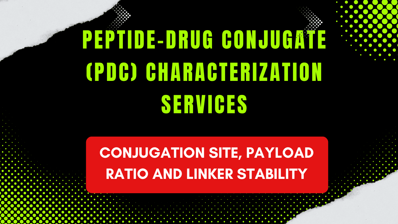Peptide-Drug Conjugate (PDC) Characterization Services