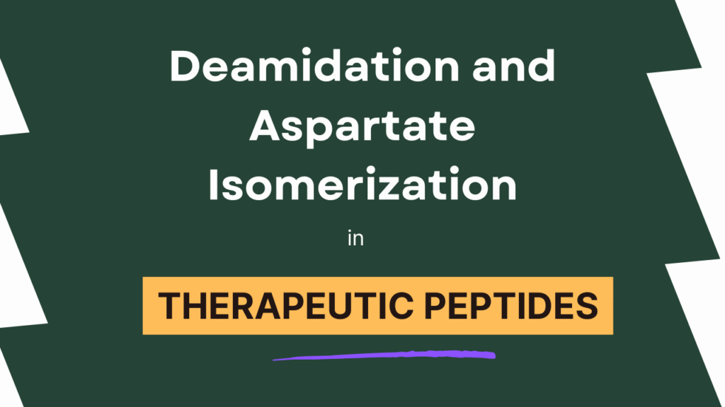 Deamidation and Aspartate Isomerization in Therapeutic Peptides