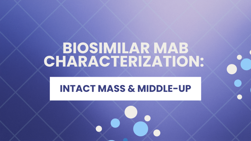 Intact Mass Analysis and Middle-Up Characterisation Service for Biosimilar mAbs