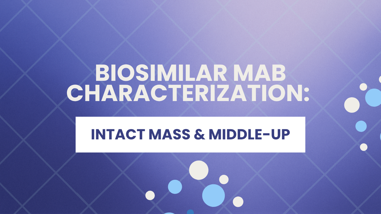 Intact Mass Analysis and Middle-Up Characterisation Service for Biosimilar mAbs