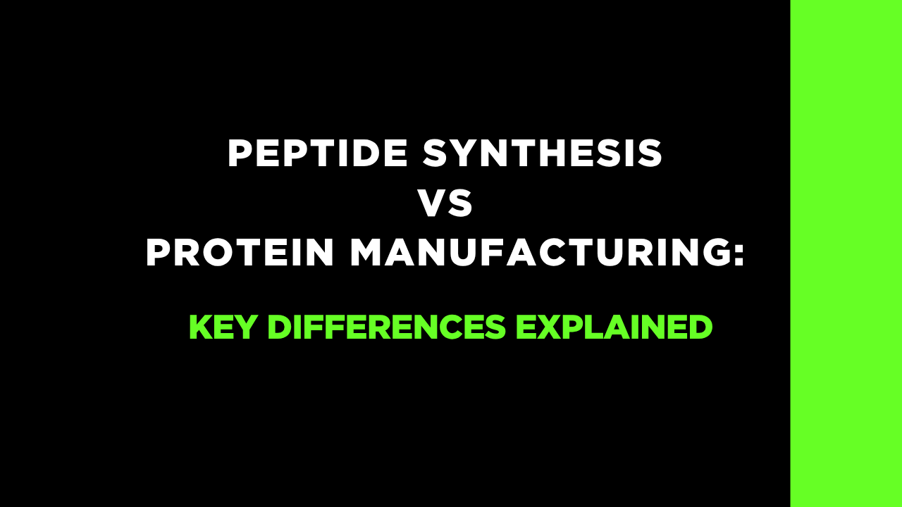 Is Peptide Synthesis the Same as Protein Manufacturing?