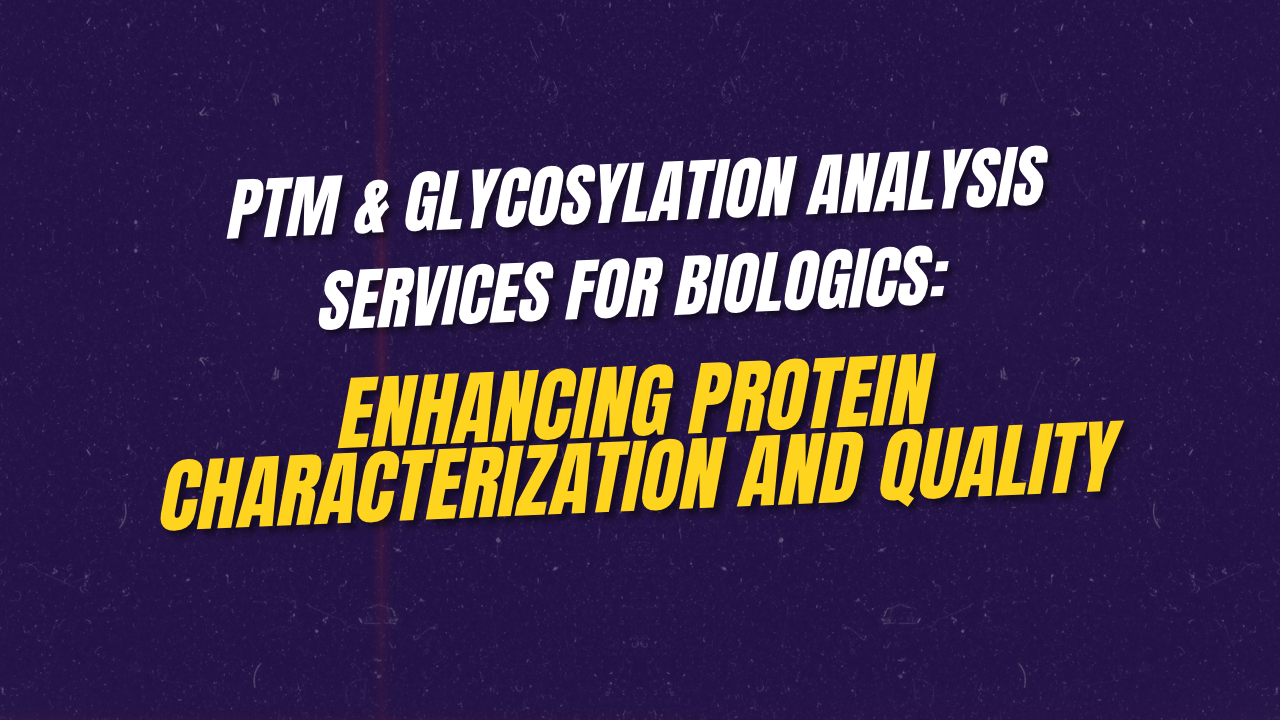 PTM and Glycosylation Analysis Services for Biologics