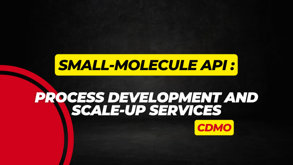 Small-Molecule API Process Development and Scale-Up Services at a CDMO