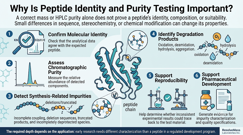 Why Is Peptide Identity and Purity Testing Important?
