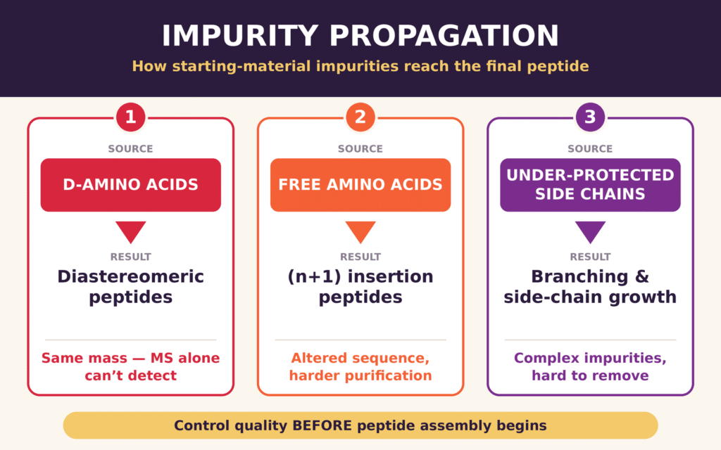 Mechanism of Impurity Propagation and Fate