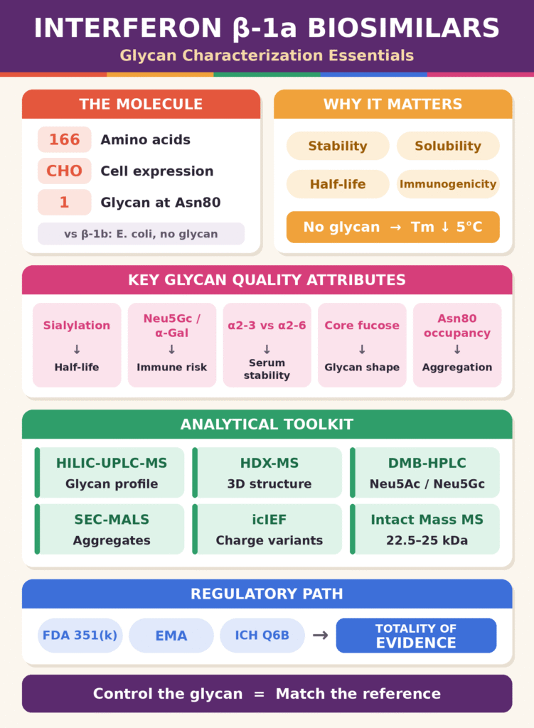 Interferon Beta-1a Biosimilars