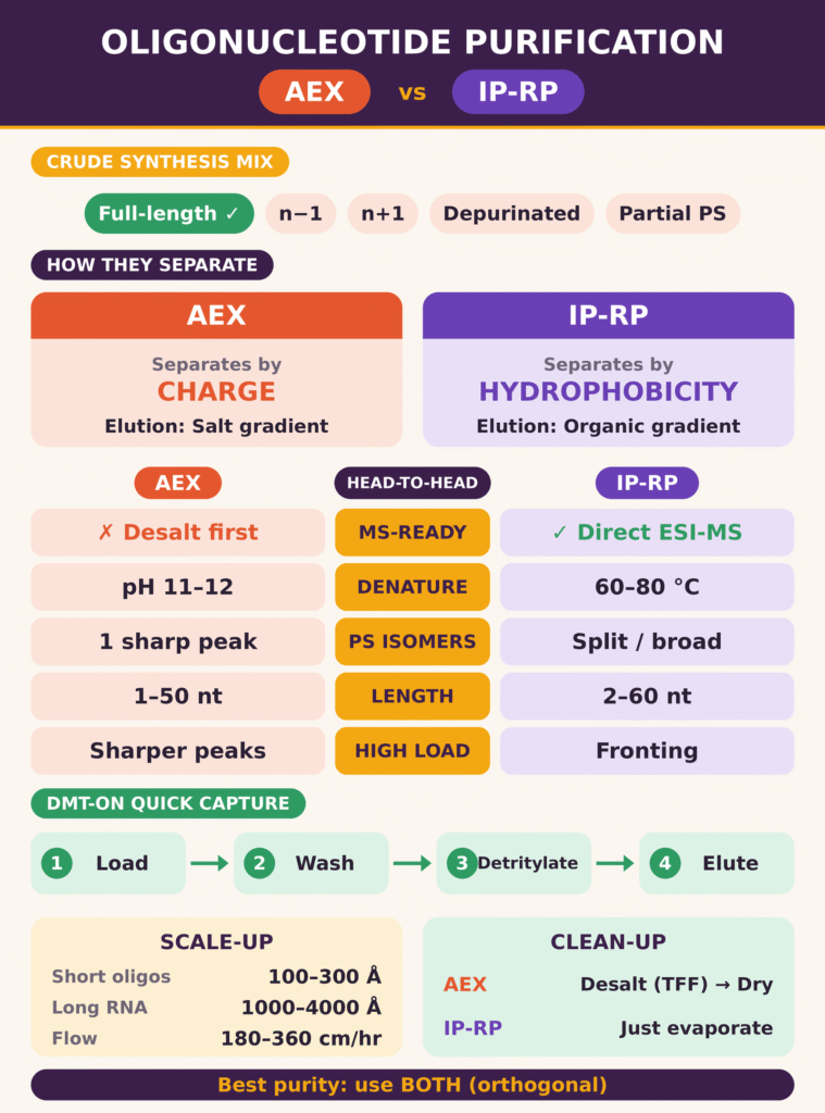 Oligonucleotide Purification Explained
