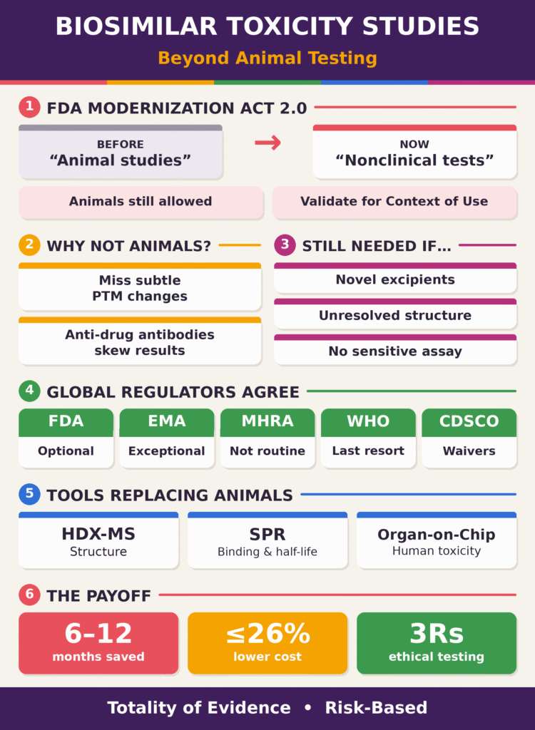 Biosimilar Nonclinical Toxicity Studies