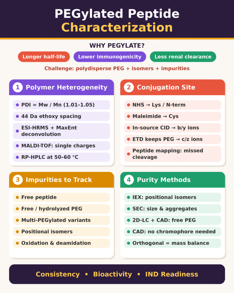 PEGylated Peptide Characterization