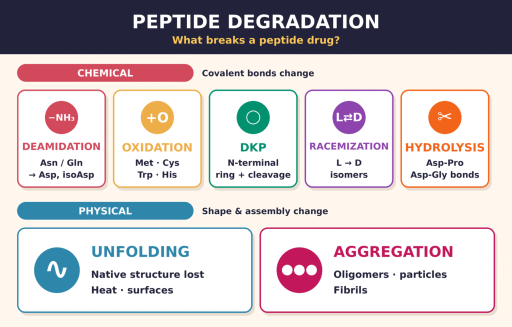 Chemical and Physical Degradation Mechanisms