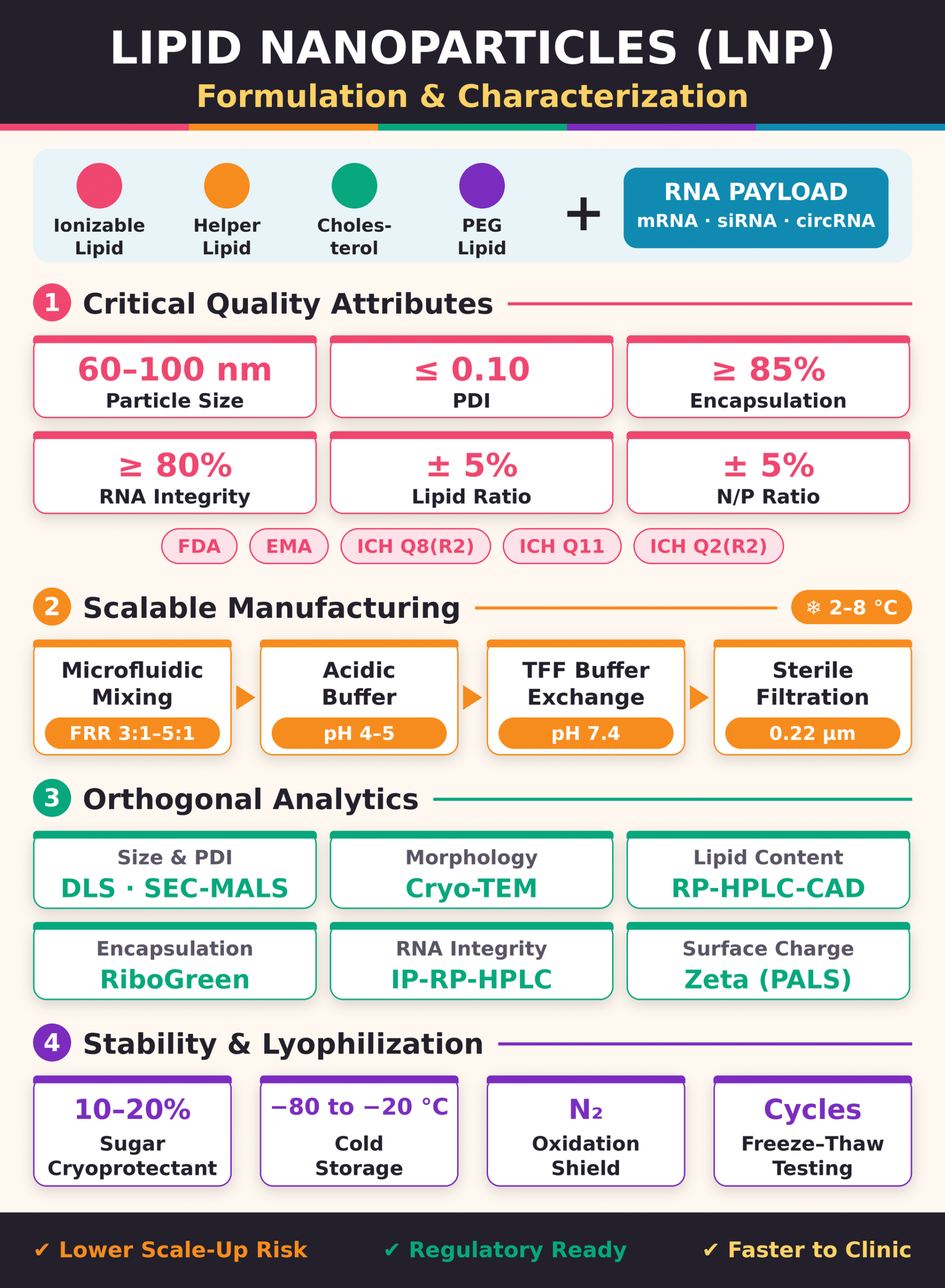 Lipid Nanoparticle (LNP) Formulation and Characterization