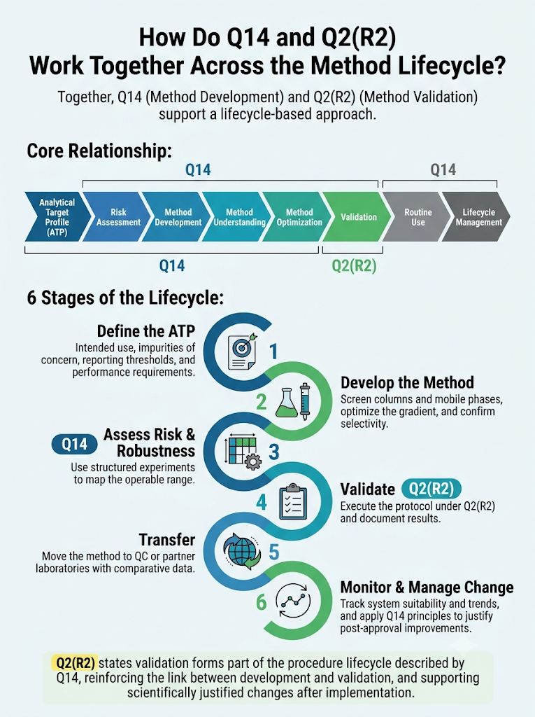How Do Q14 and Q2(R2) Work Together Across the Method Lifecycle?