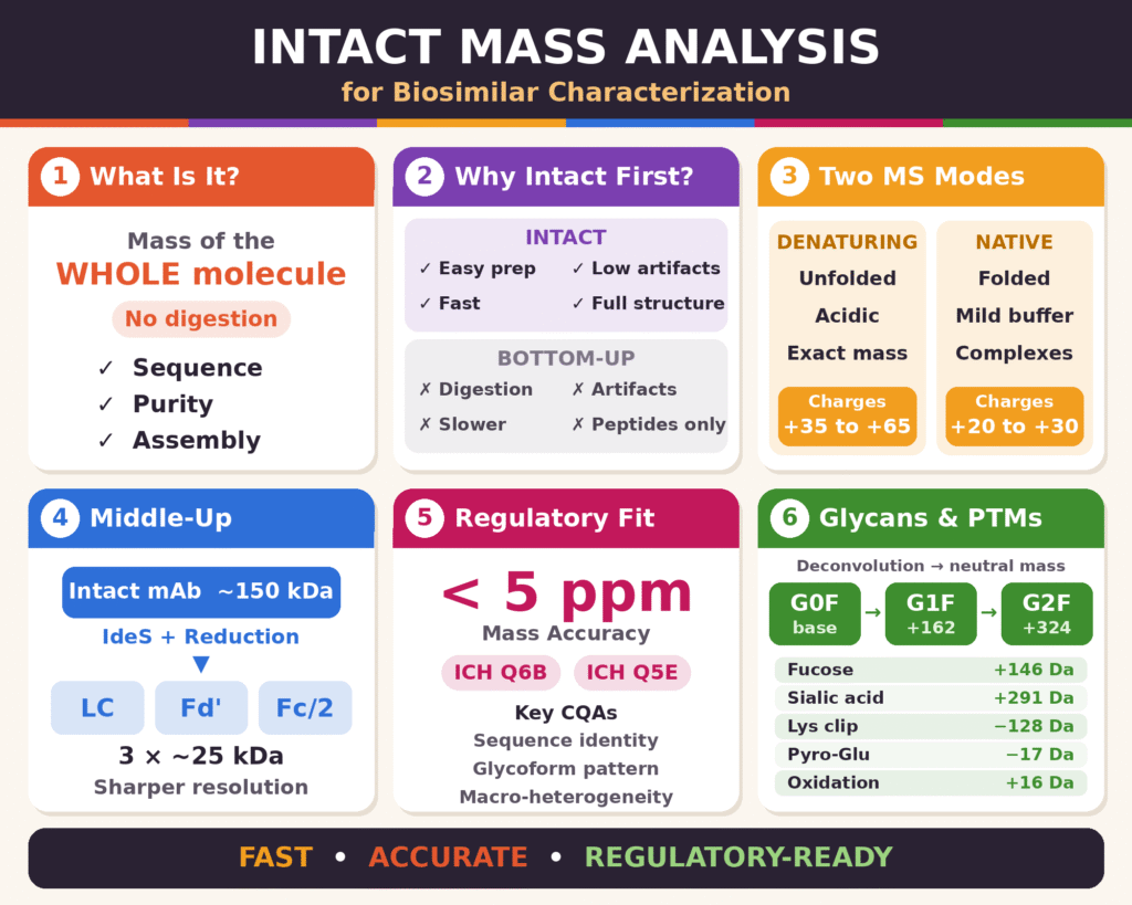 Intact Mass Analysis for Biosimilar Characterization