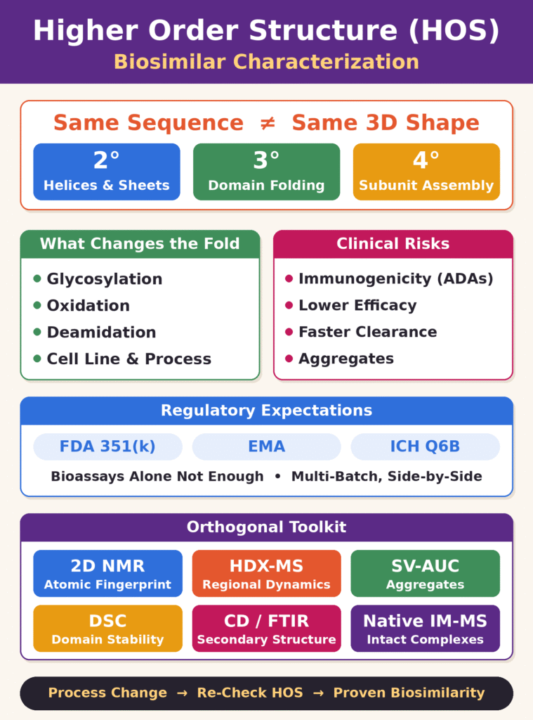 Higher order Structure Analysis for Biosimilar Characterization