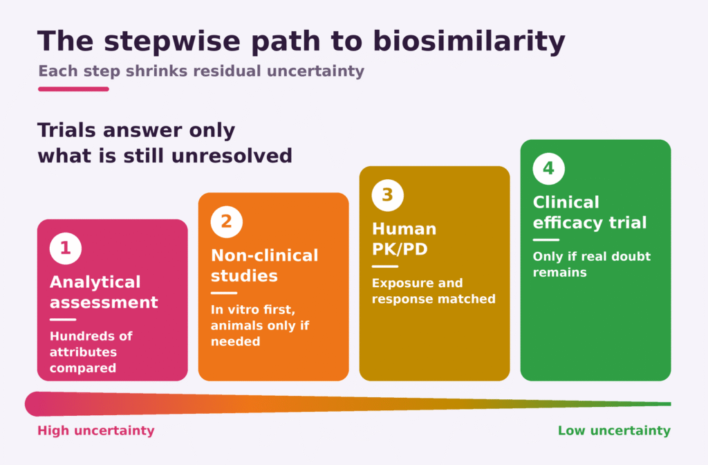 The Stepwise Development Paradigm