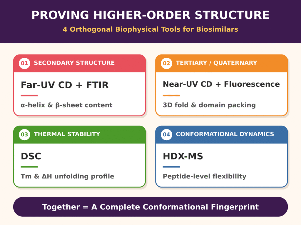 Orthogonal Biophysical Technologies for Higher-Order Structure Characterization